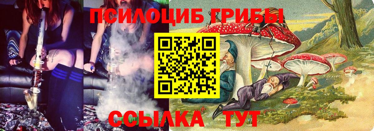 Туймазы  Галлюциногенные грибы MAGIC MUSHROOMS  Вход с VPN 