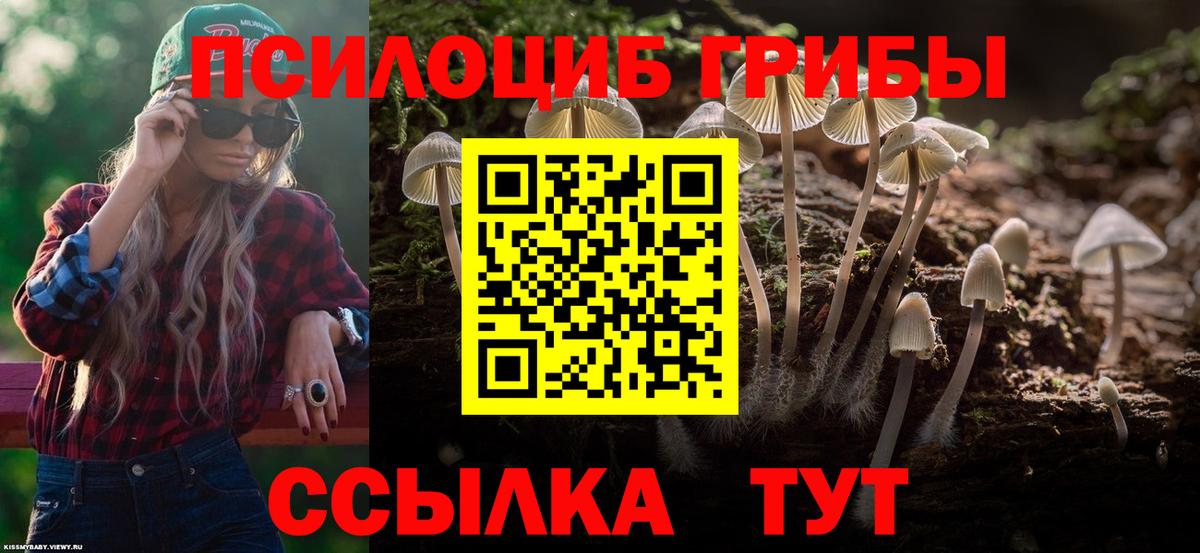 Псилоцибиновые грибы Psilocybe Туймазы